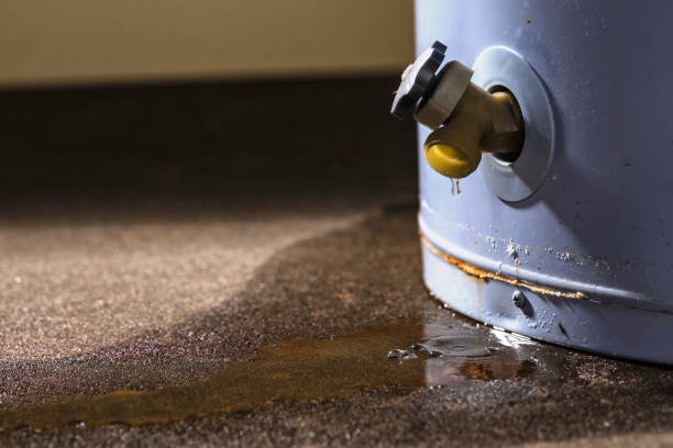 Best Carpet water damage restoration  in Menlo Park Terrace, NJ