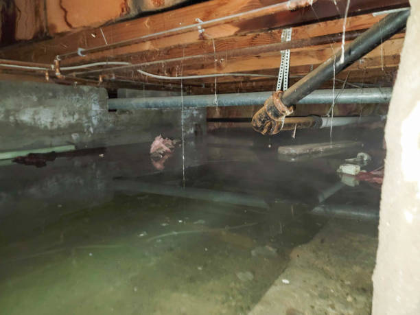 Best Water damage restoration near me  in Menlo Park Terrace, NJ