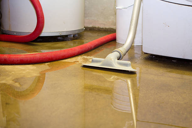  Menlo Park Terrace, NJ Water damage restoration Pros