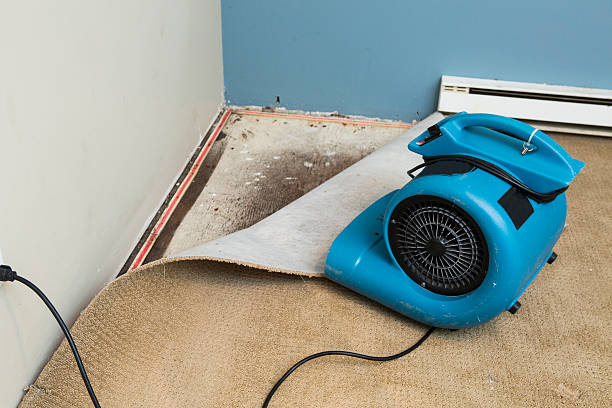 Best Emergency water damage restoration  in Menlo Park Terrace, NJ
